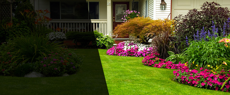 Graham Landscapers