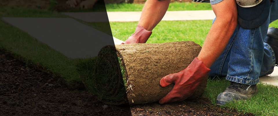 Graham Landscapers